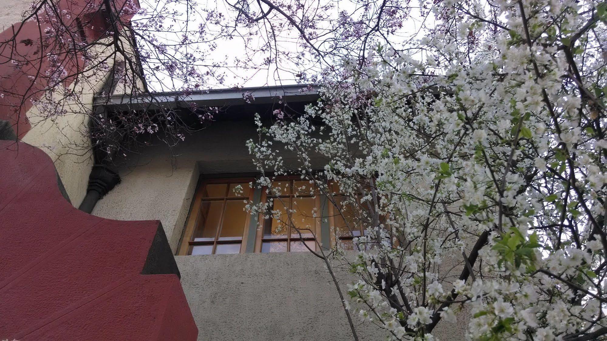 Providencia Bed & Breakfast Santiago Luaran gambar